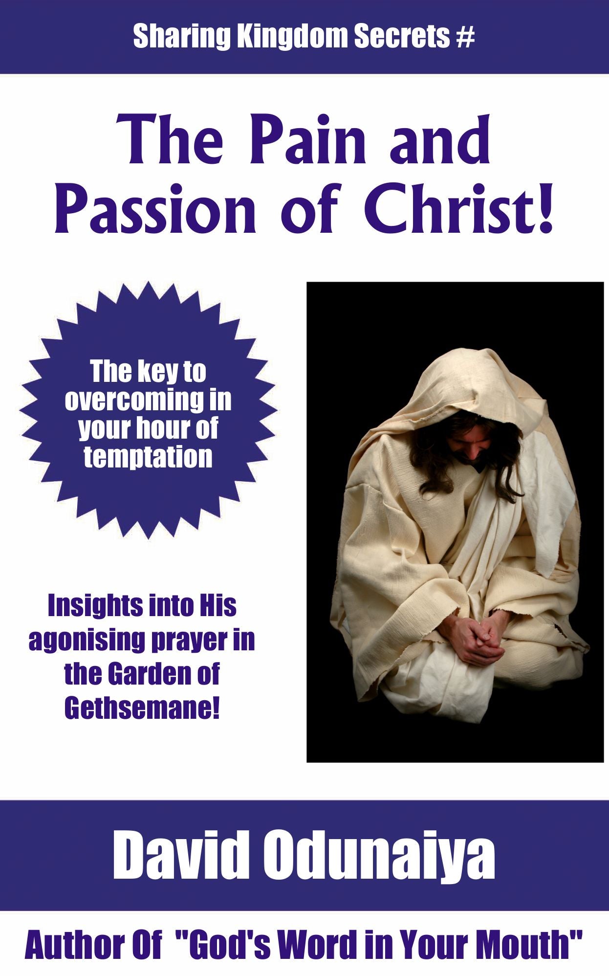 The Pain And The Passion Of Christ