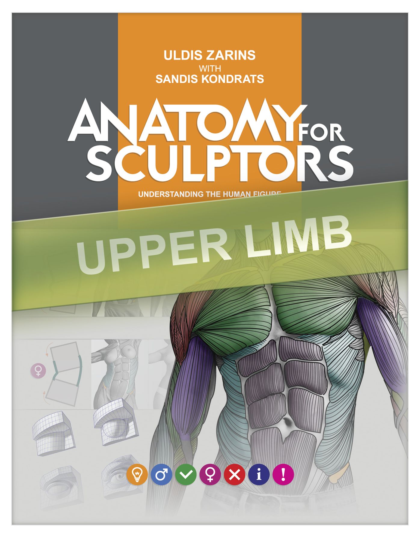 Anatomy For Sculptors, Understanding the Human Figure (UPPER LIMB)