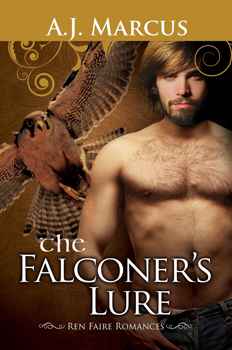 The Falconer's Lure