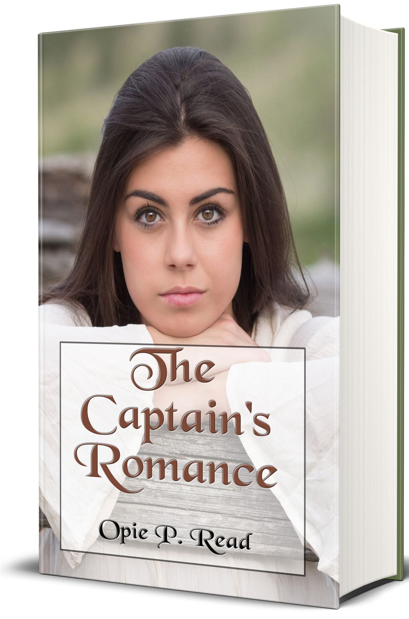 The Captain's Romance, or, Tales of the Backwoods (Illustrated)