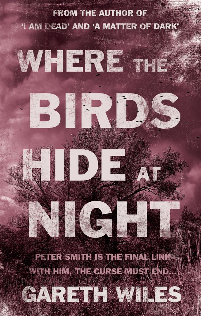 Where The Birds Hide At Night