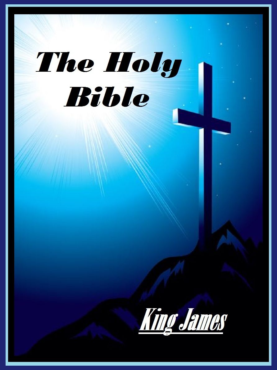 Religious Books: The Holy Bible ( the holy bible, prayer books, hebrew, muslim, jerusalem, holy books, catholic, pray, holy, bible, bible study, jesus, christmas, religion, religious, buddhism, heaven, christian, king james, old testament, new testament