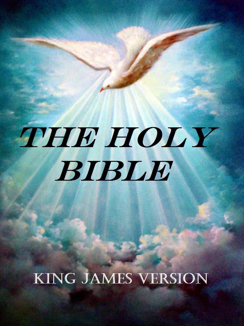 King James: The Holy Bible ( the bible, bible, bible study, jesus, christmas, religion, religious, buddhism, heaven, hell, king james, old testament, new testament, christian, )