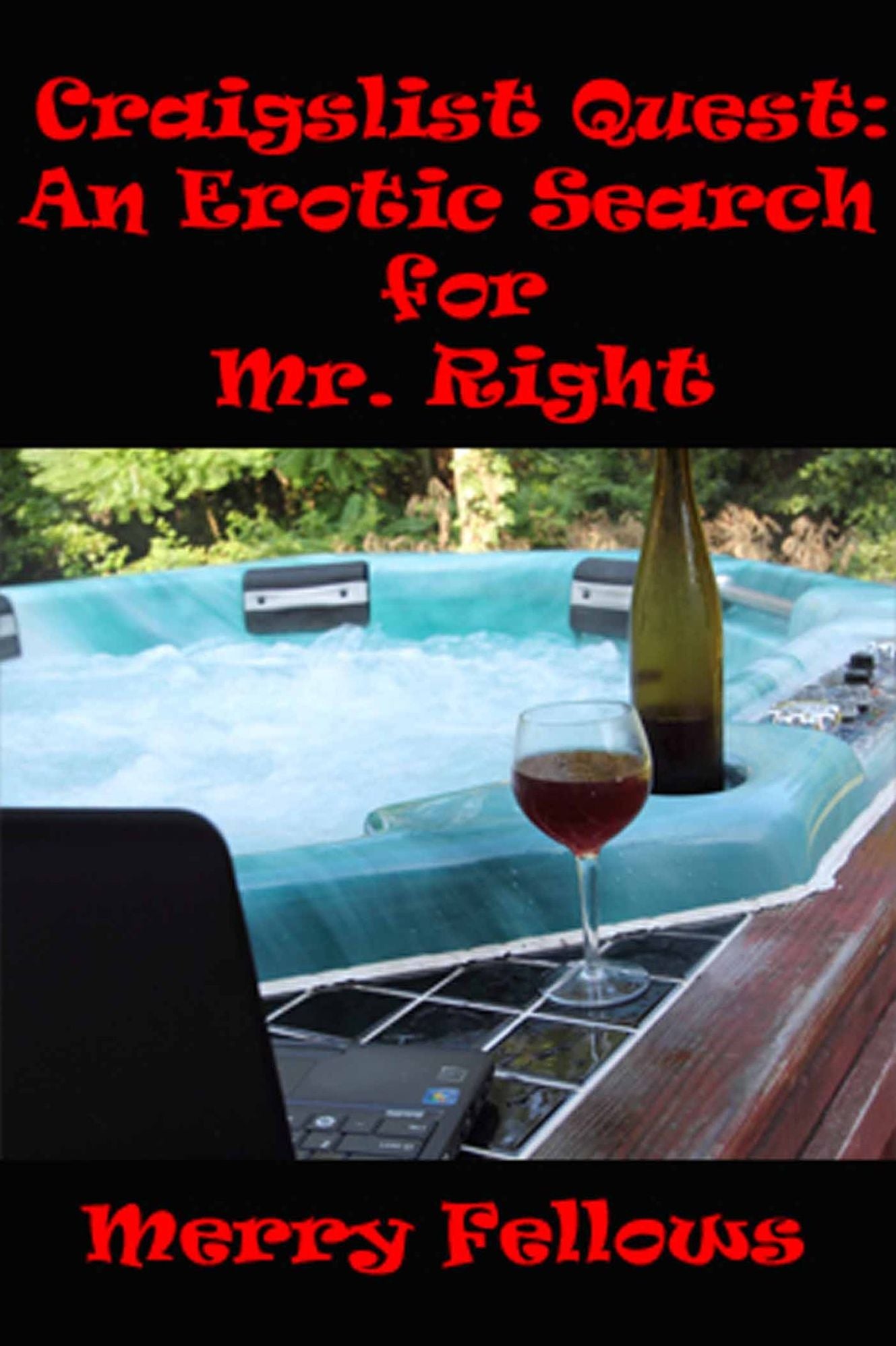 Craigslist Quest: An Erotic Search for Mr. Right