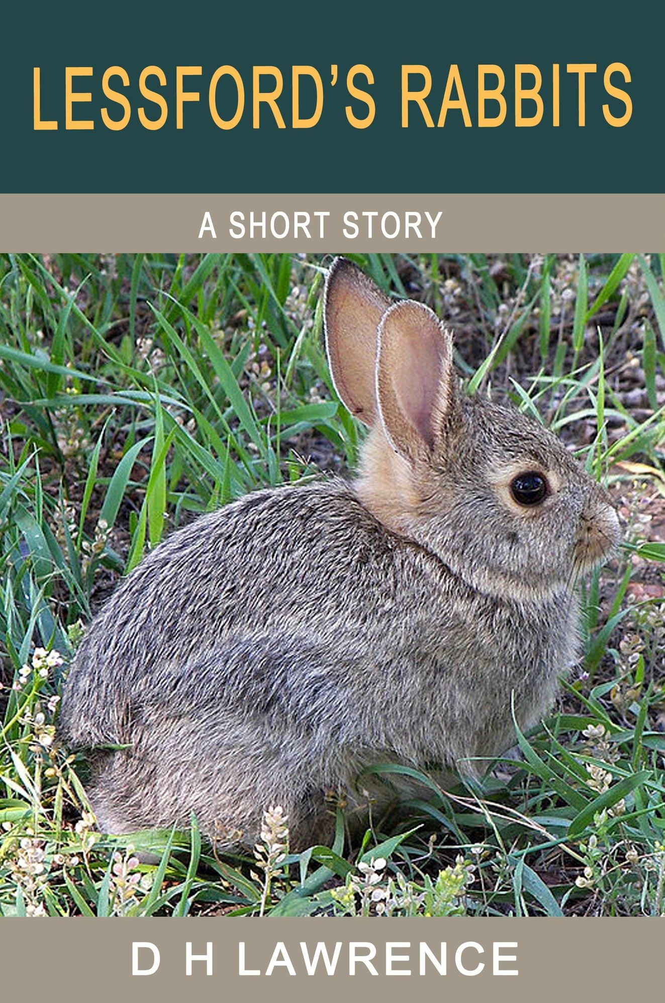 Lessford's Rabbits