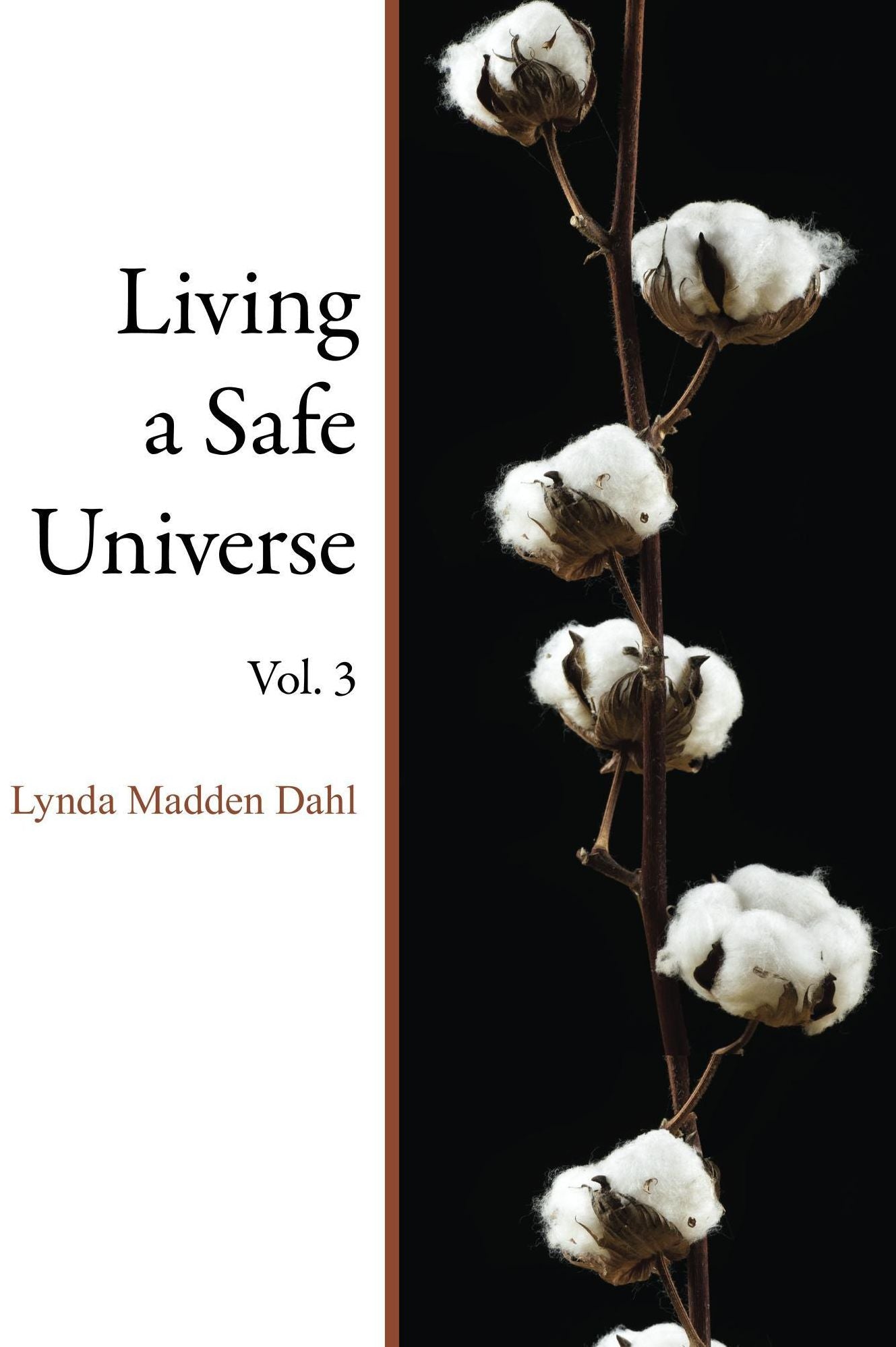 Living a Safe Universe, Vol. 3: A Book for Seth Readers
