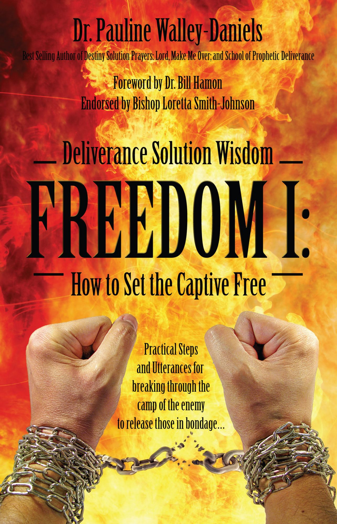 Deliverance Solution Wisdom - FREEDOM I: How to Set the Captive Free - Practical Steps and Utterances for breaking through the camp of the enemy to release those in bondage