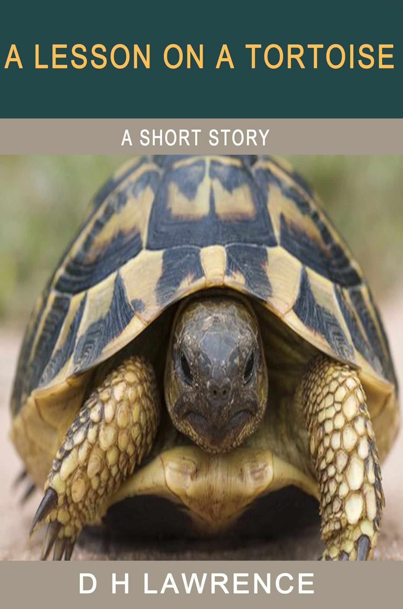 A Lesson on a Tortoise