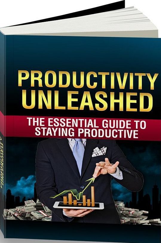 Increase ProductivityeBook - Productivity Unleashed - Seriously need to increase your productivity? Read on....