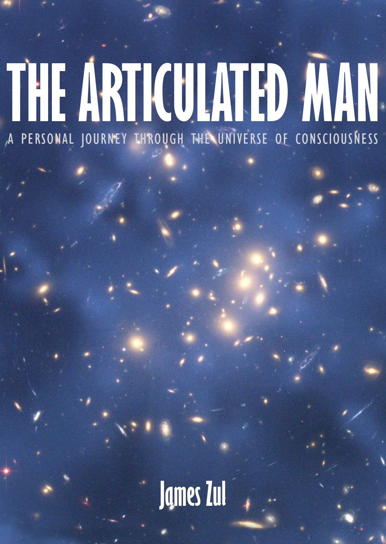The Articulated Man
