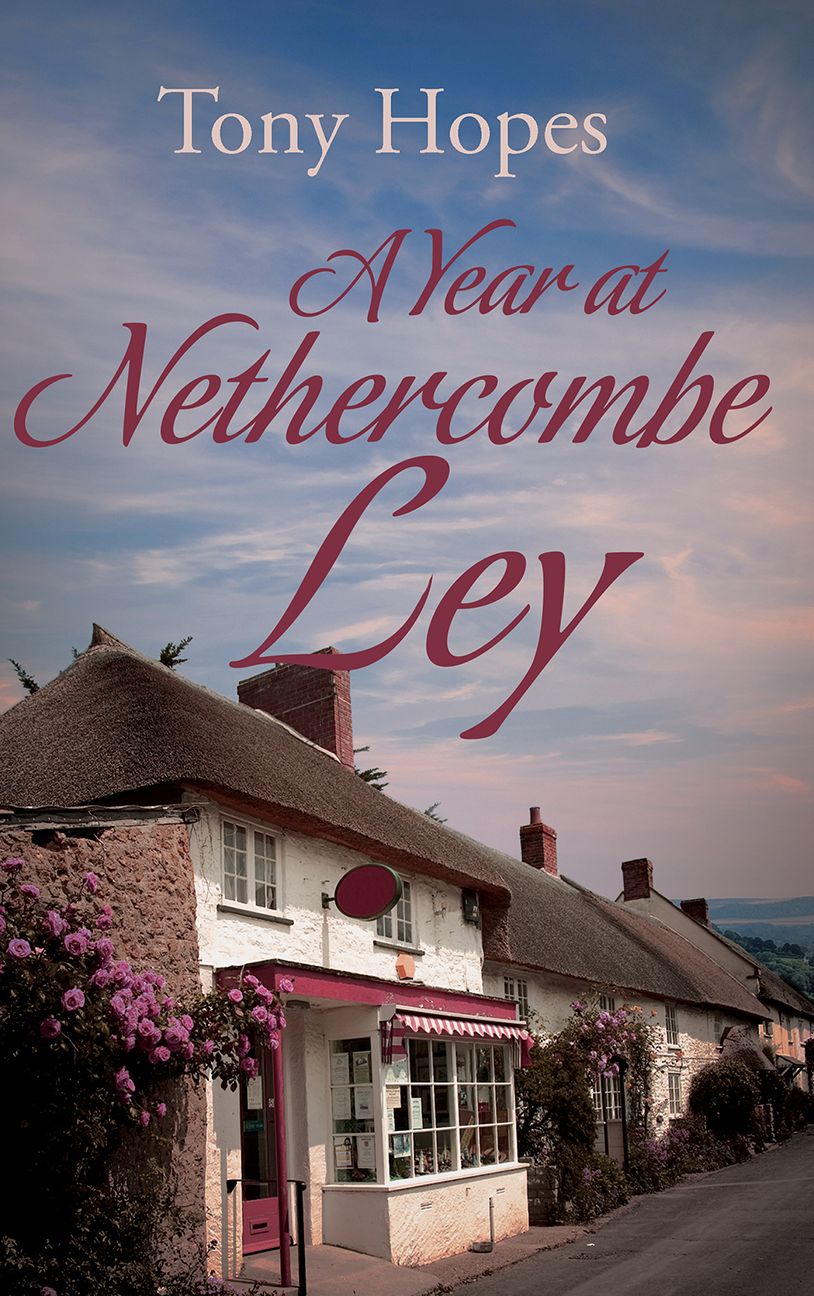 A Year at Nethercombe Ley