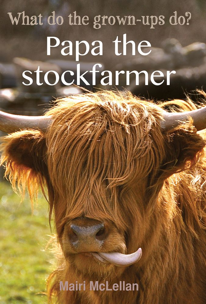 Papa the Stockfarmer: What do the grown-ups do?
