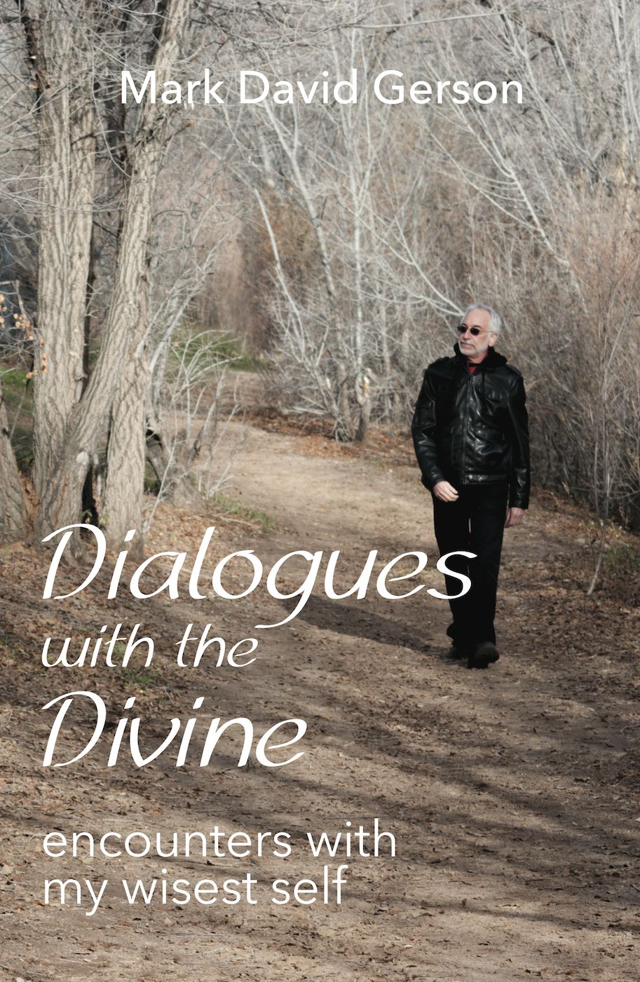 Dialogues with the Divine: Encounters with My Wisest Self