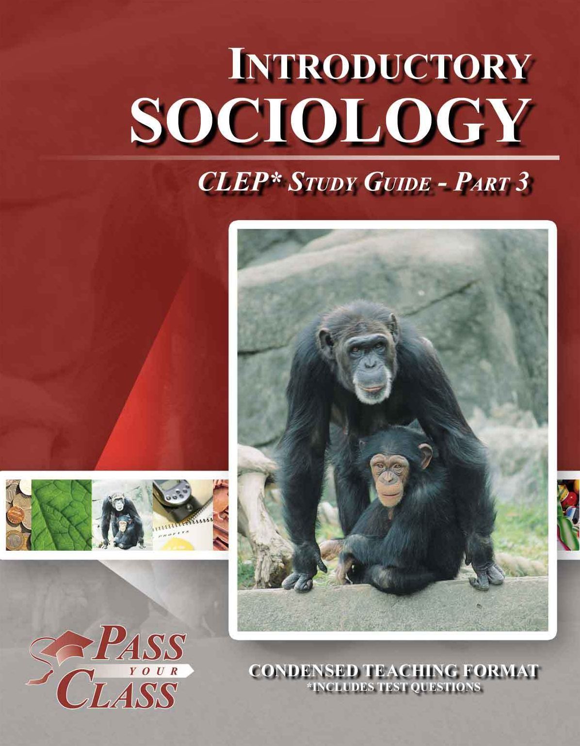 Introductory Sociology CLEP Test Study Guide - Pass Your Class - Part 3
