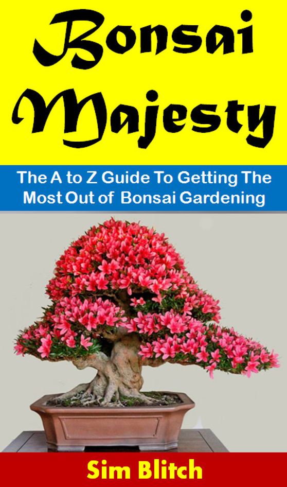 Bonsai Majesty