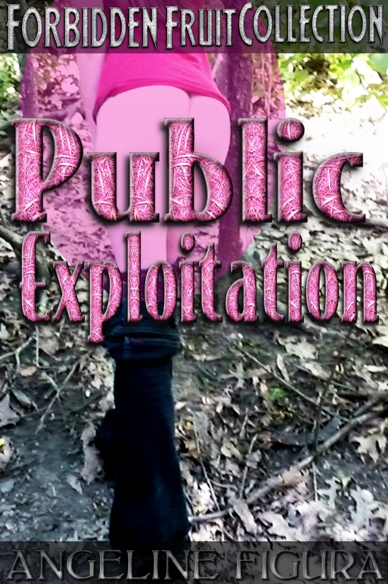 Public Exploitation (Public Sex & Exhibitionism Short Story Anthology Bundle)