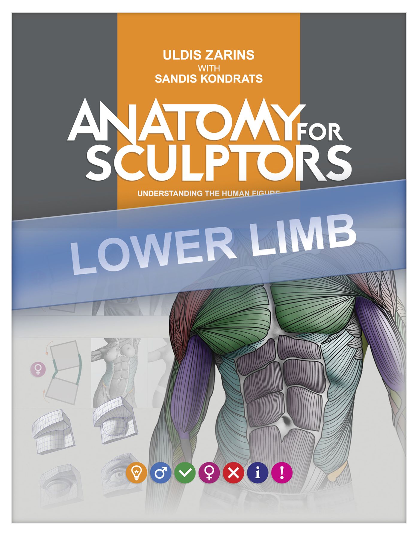 Anatomy for Sculptors, Understanding the Human Form (LOWER LIMB)