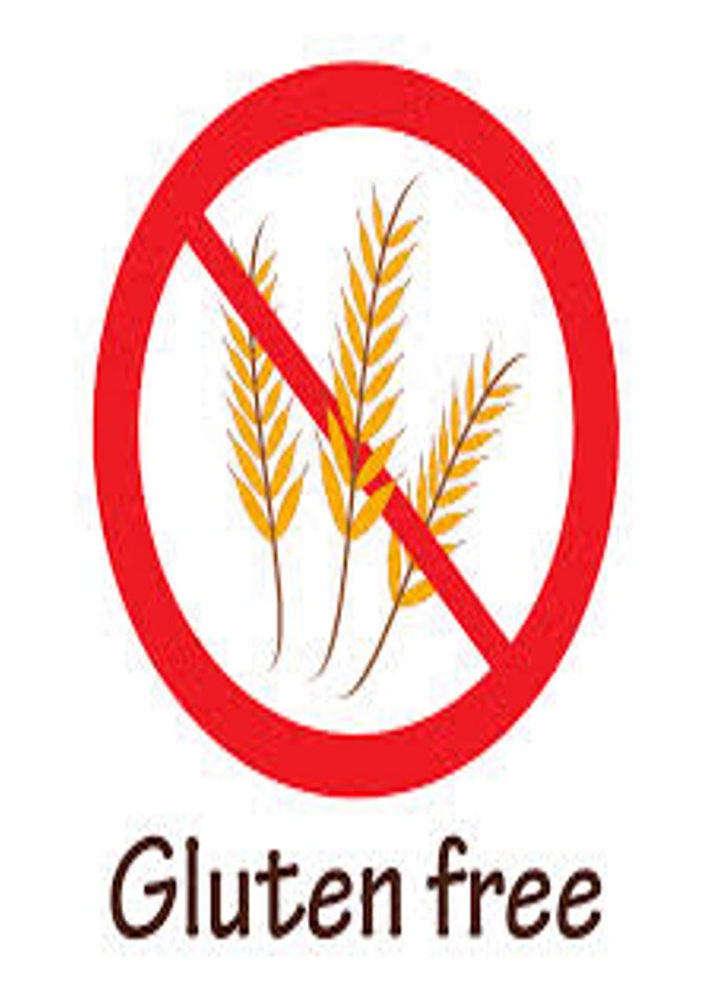 Gluten Free Living - Making Positive Changes For Yourself and For Your Household! (Brand New) AAA+++