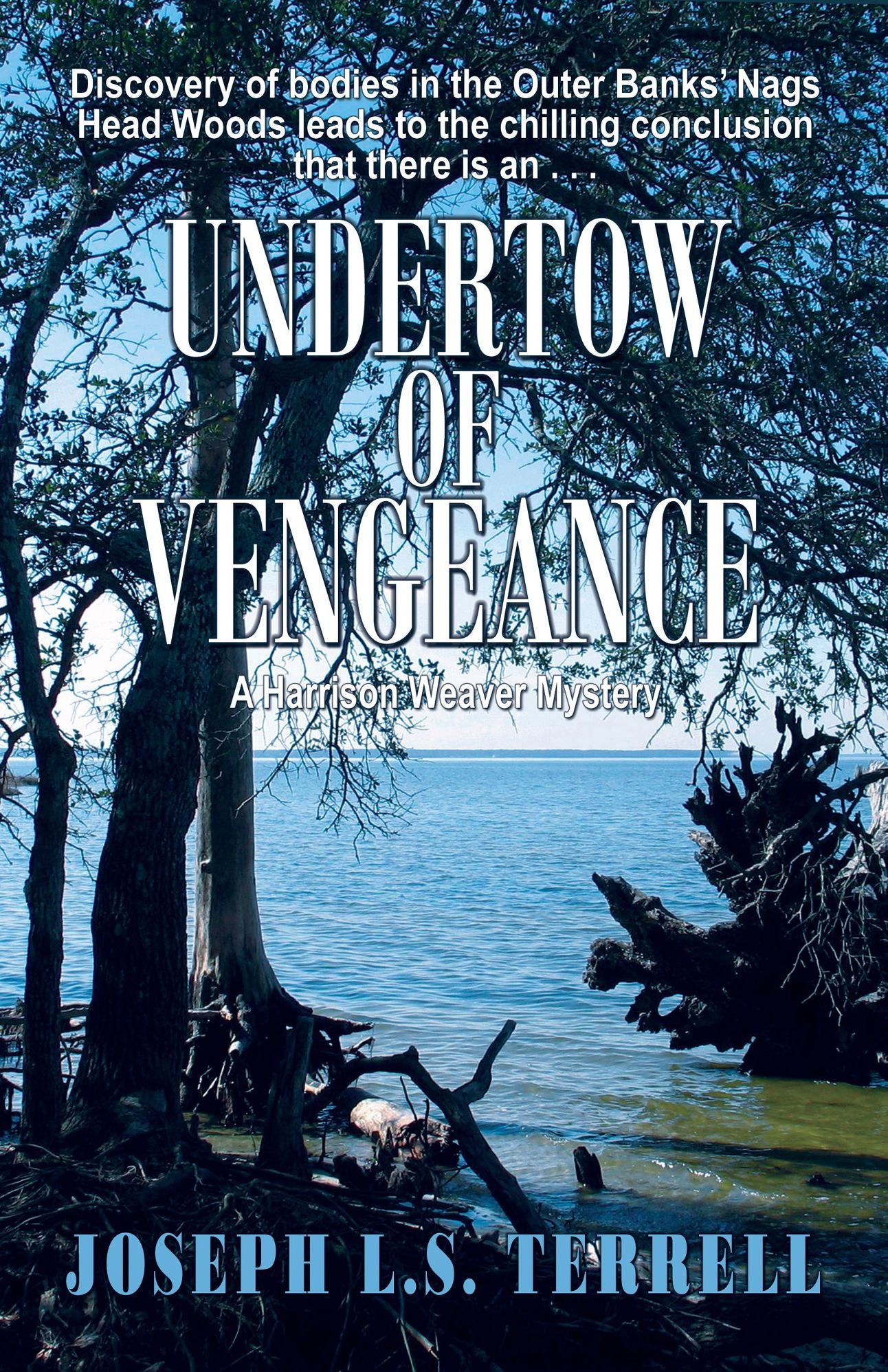 Undertow Of Vengeance