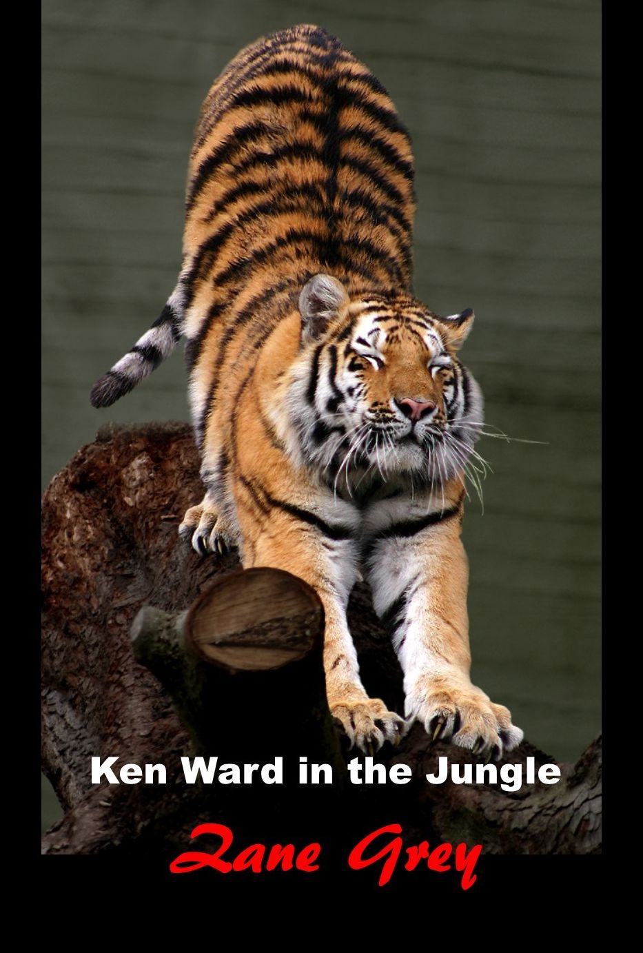 Ken Ward in the Jungle