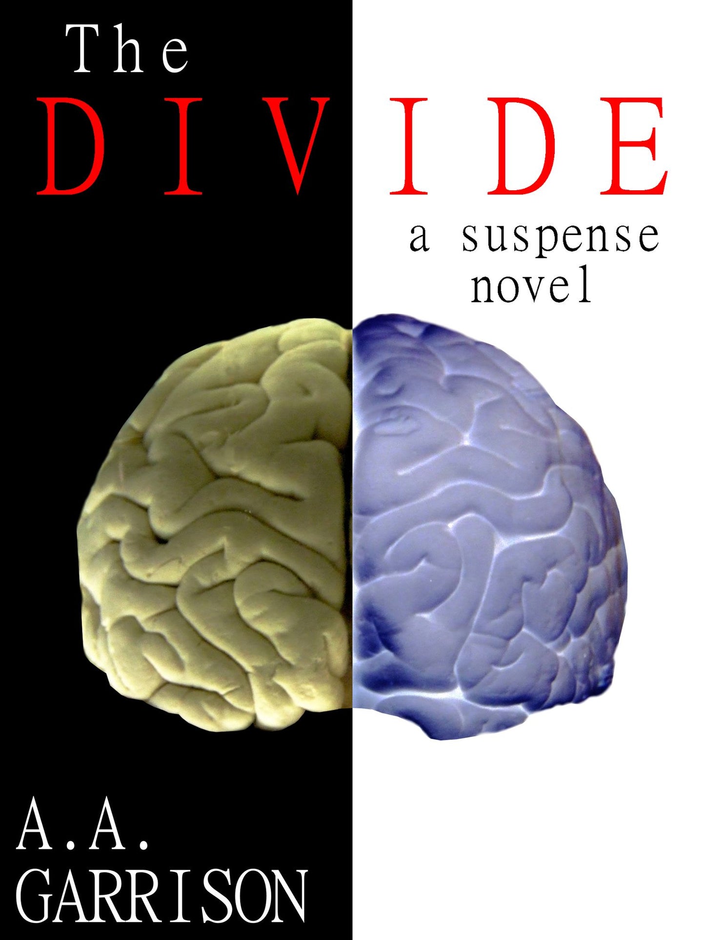 The Divide