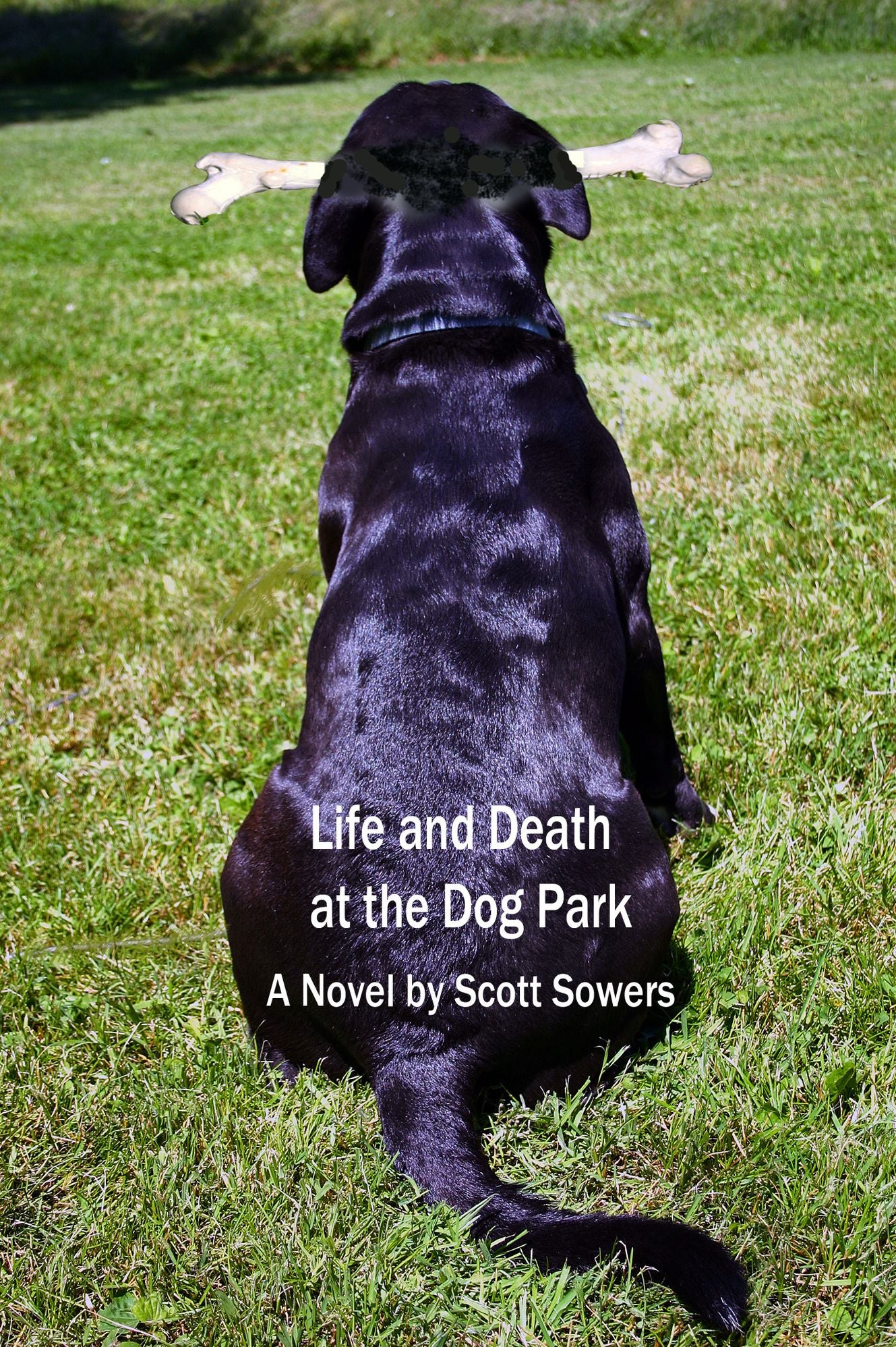 Life And Death At The Dog Park