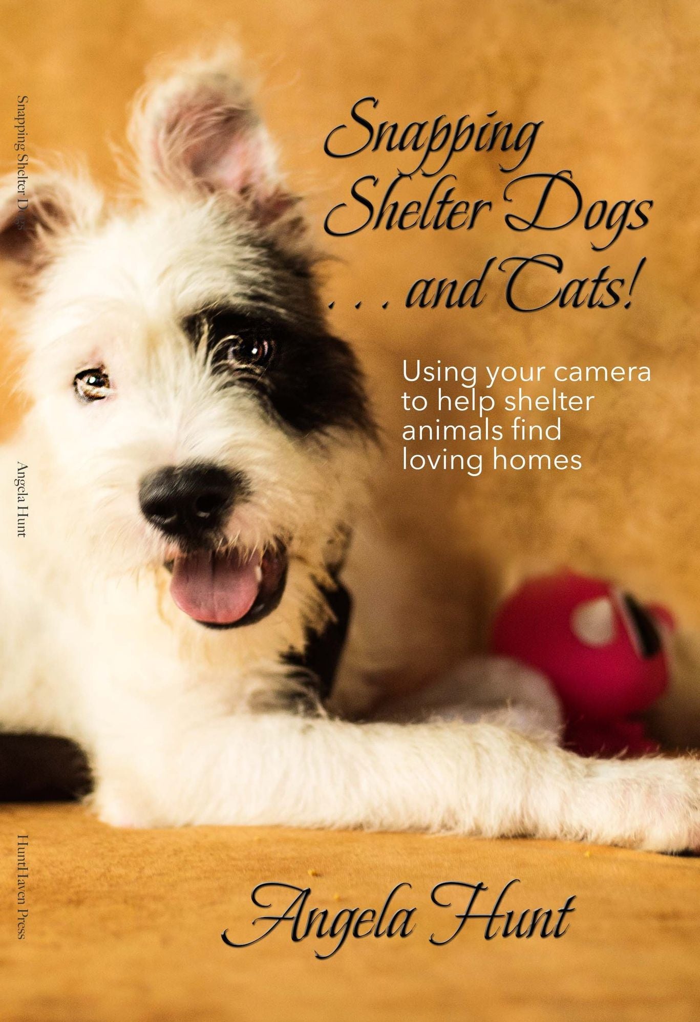 Snapping Shelter Dogs . . . and Cats!