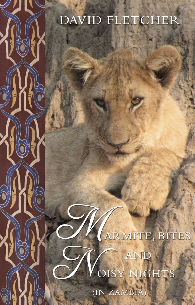 Marmite, Bites and Noisy Nights (in Zambia): Brian's World