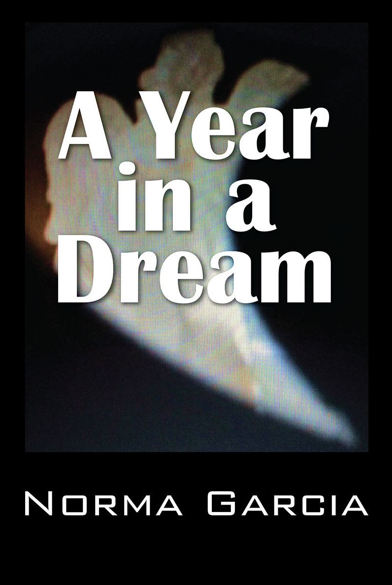A Year in a Dream