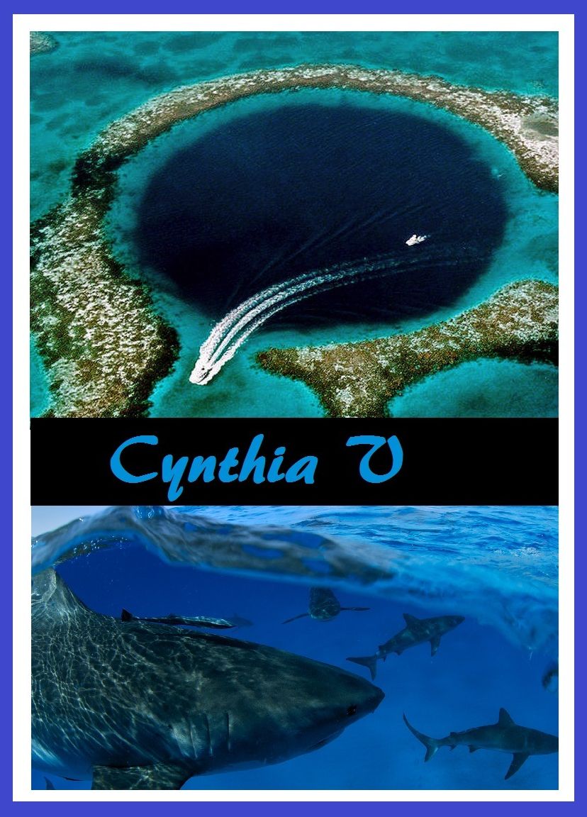 History: The Amazing Cynthia V ( Pirates, Smugglers, Spy, Mystery, Detective, Adventure, Action, Sea, Sex, Bahamas, Guns, Island, Beach, Sunset, Storm, Best Sellers, Shark, Dolphin, Fishing, Yatch, Boat, Sail Boat, Snorkle, Scuba, Reef )