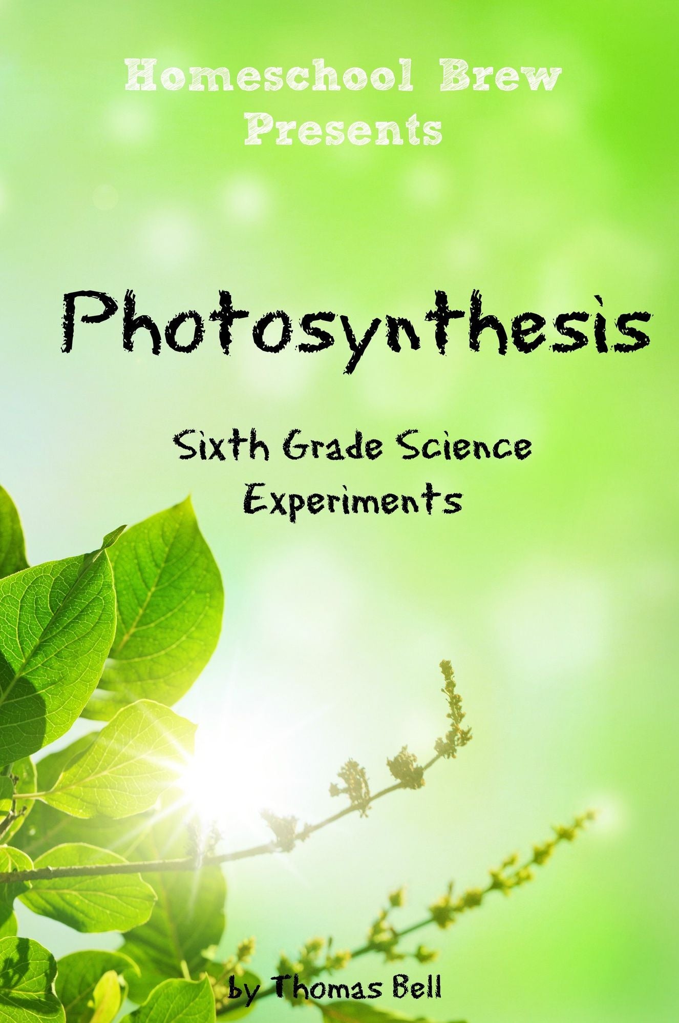 Photosynthesis: Sixth Grade Science Experiments