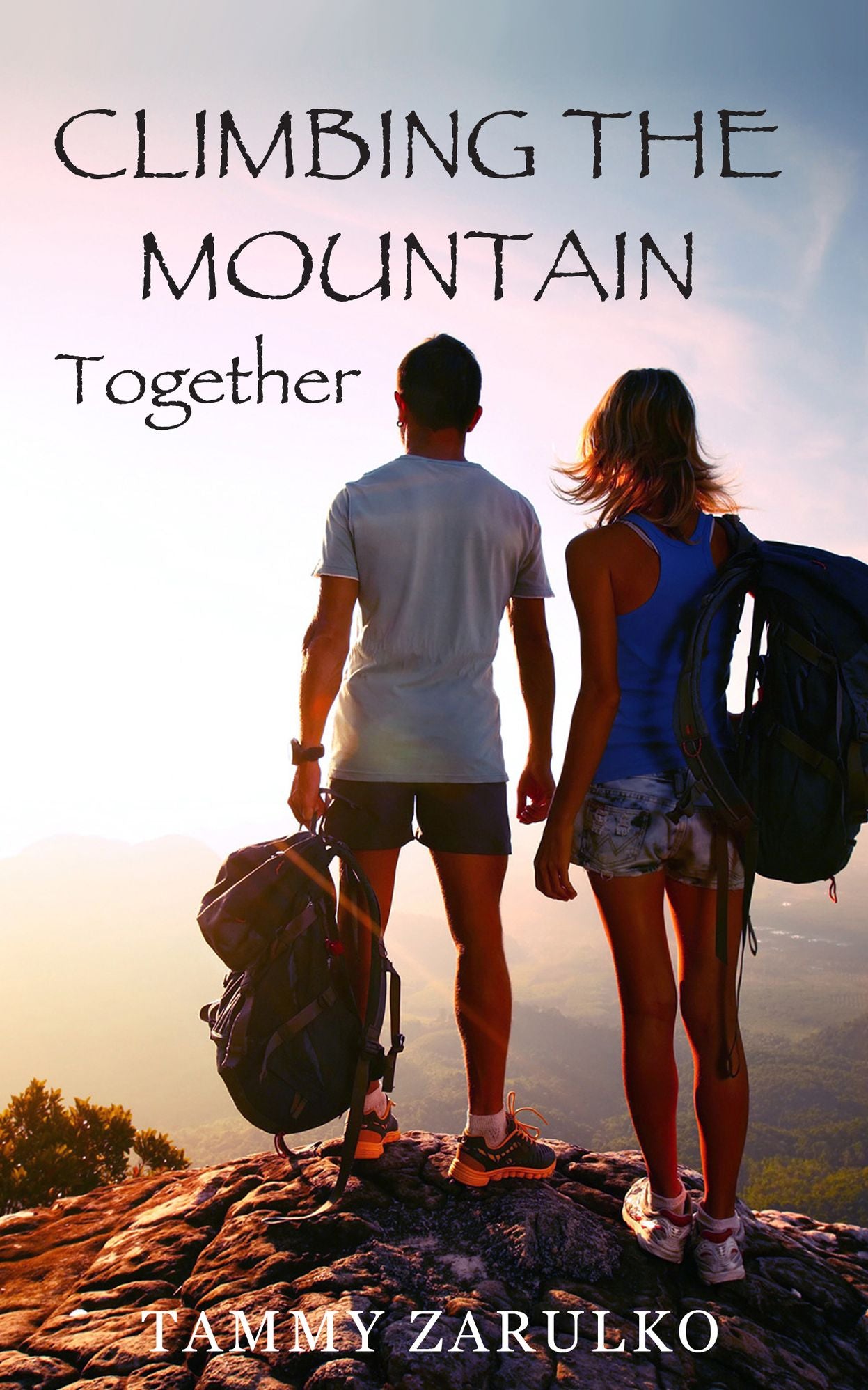 Climbing The Mountain Together