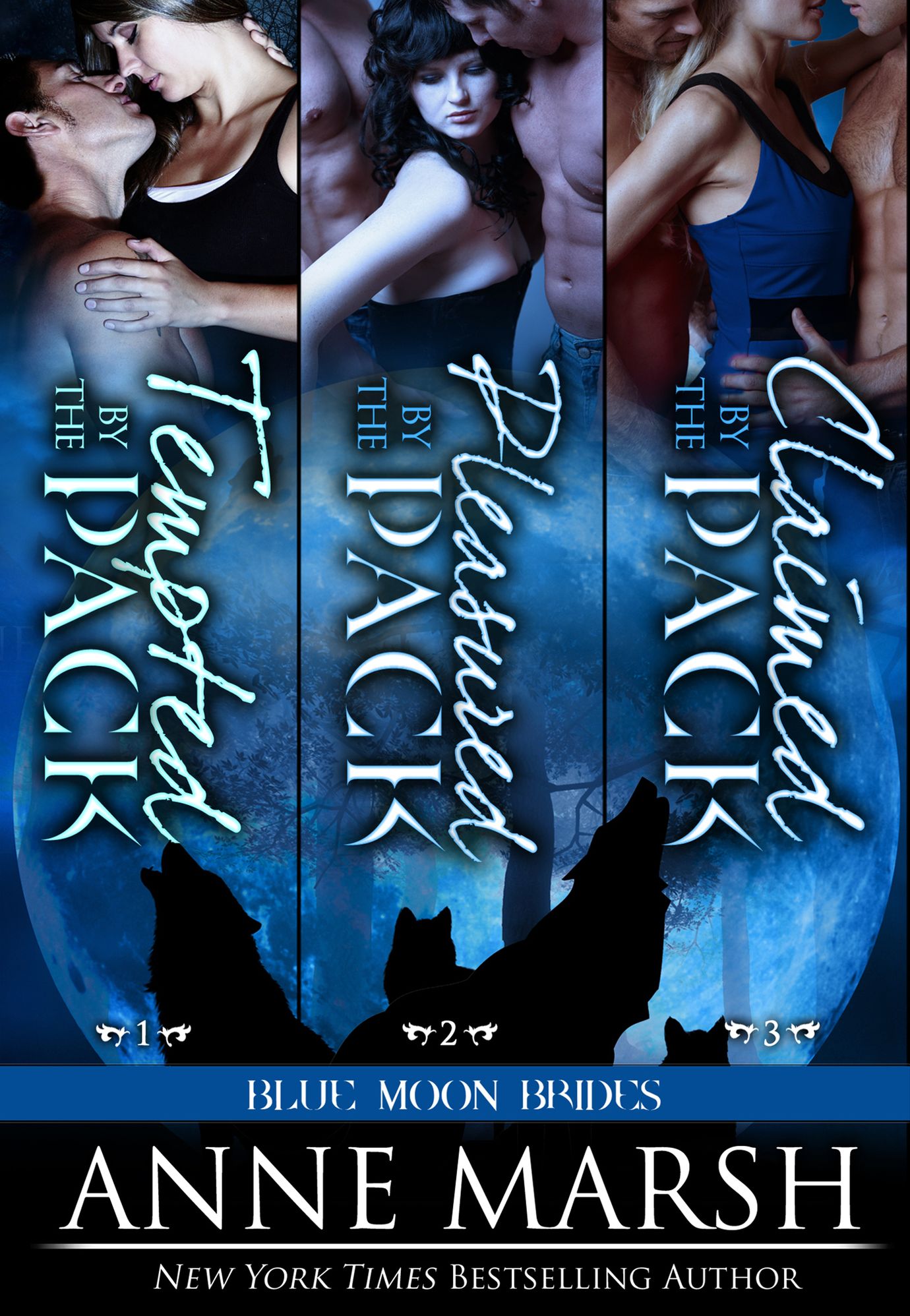 Blue Moon Brides Boxed Set: Books 1-3