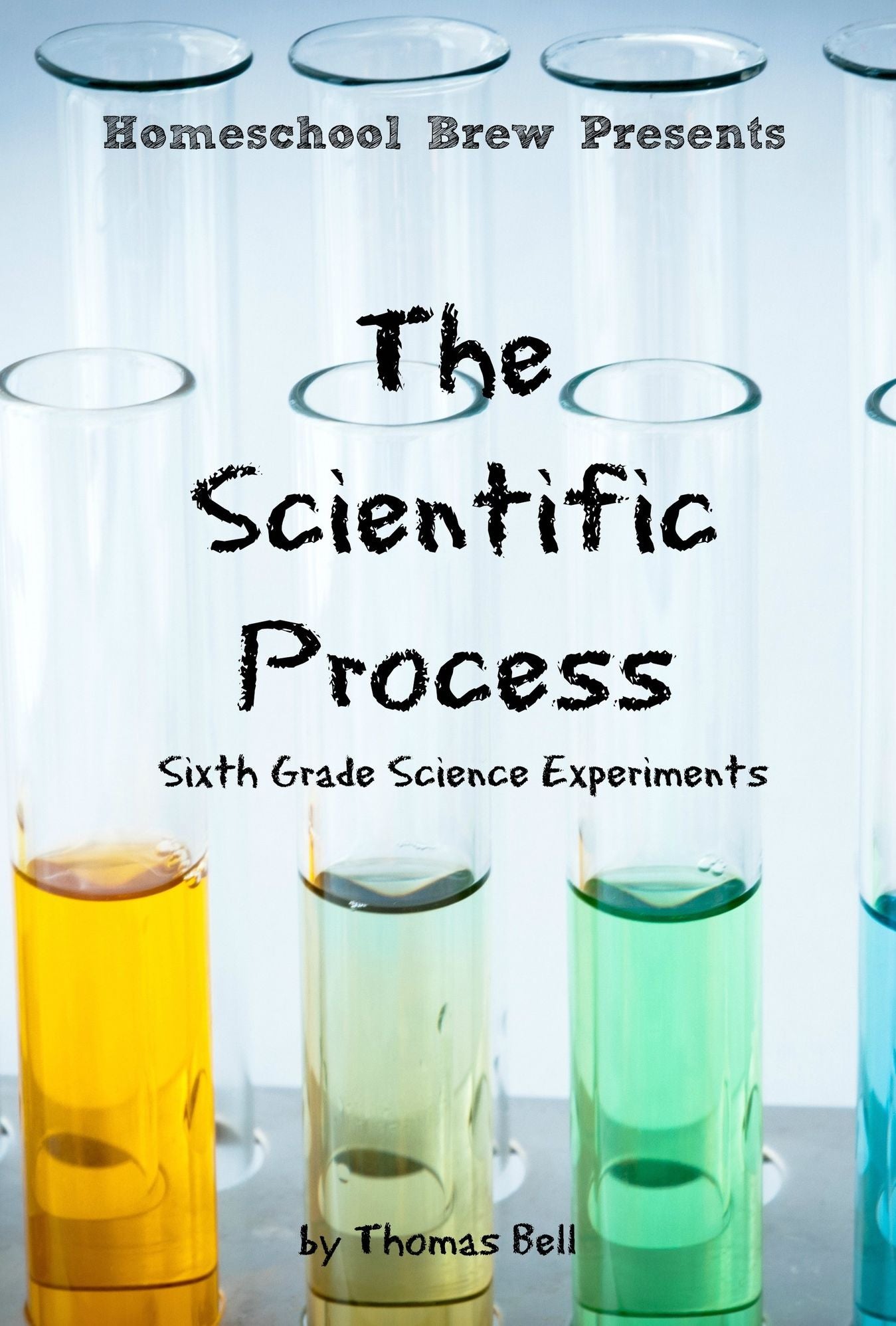 The Scientific Process: Sixth Grade Science Experiments