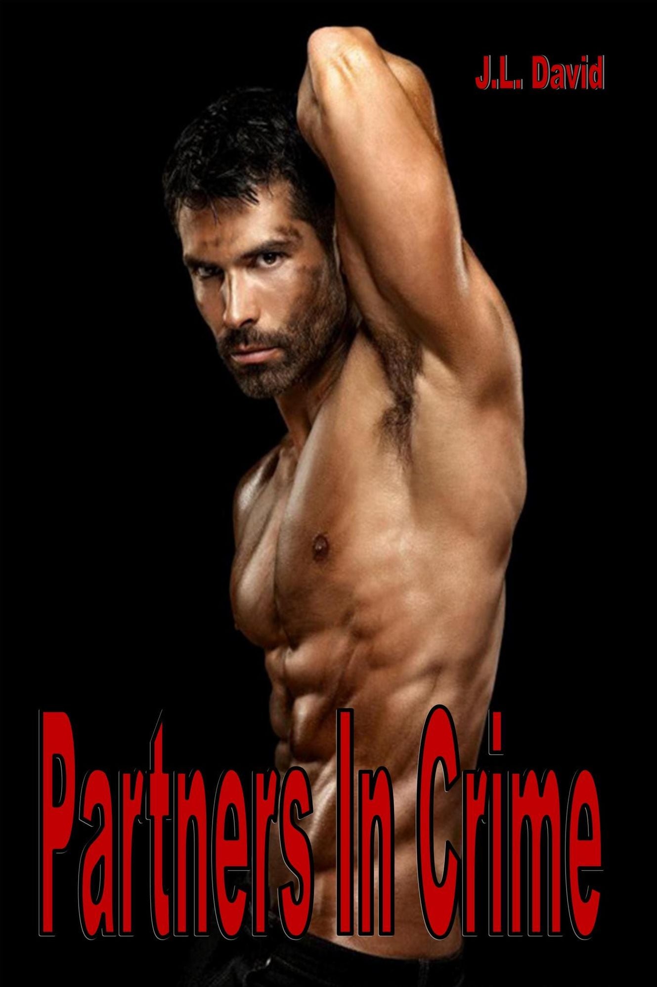 Partners In Crime - Gay Romance Erotica
