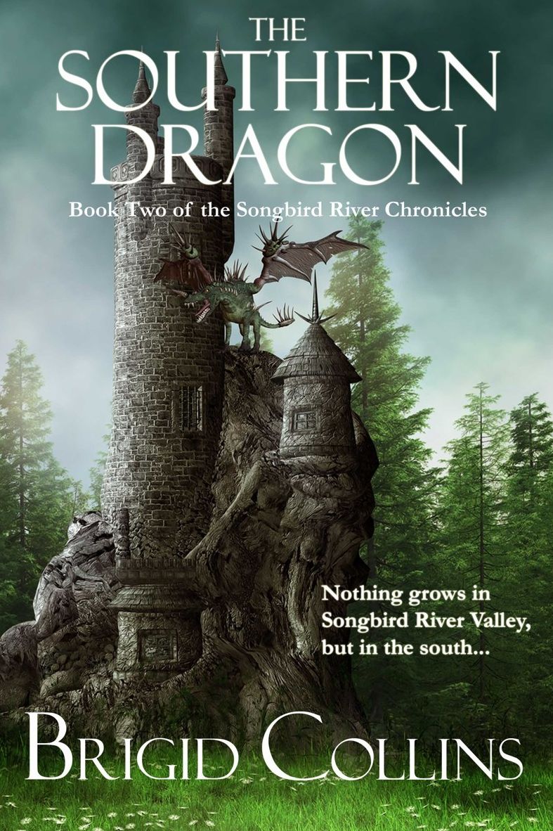 The Southern Dragon