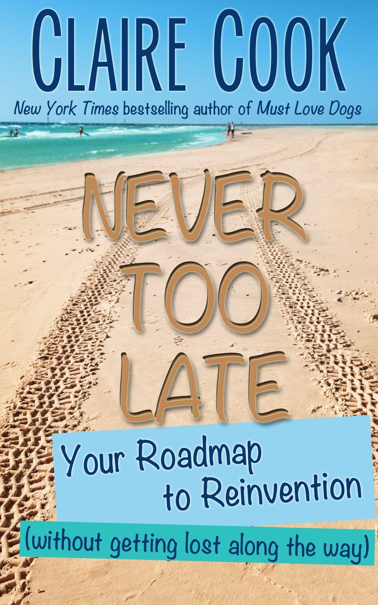Never Too Late: Your Roadmap to Reinvention (without getting lost along the way)