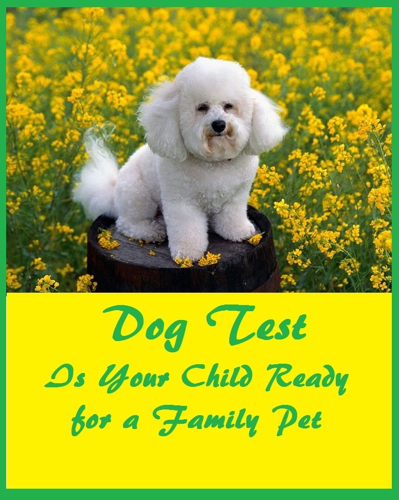 Best Seller Dog Test Dog Test (Is Your Child Ready for a Family Pet)(puppy, puppies, dogs, golden retriever, pit bull, terrier, hound, great Dane, chiwawa, husky, labrador, shepard, doberman, jack russel, hotdog )