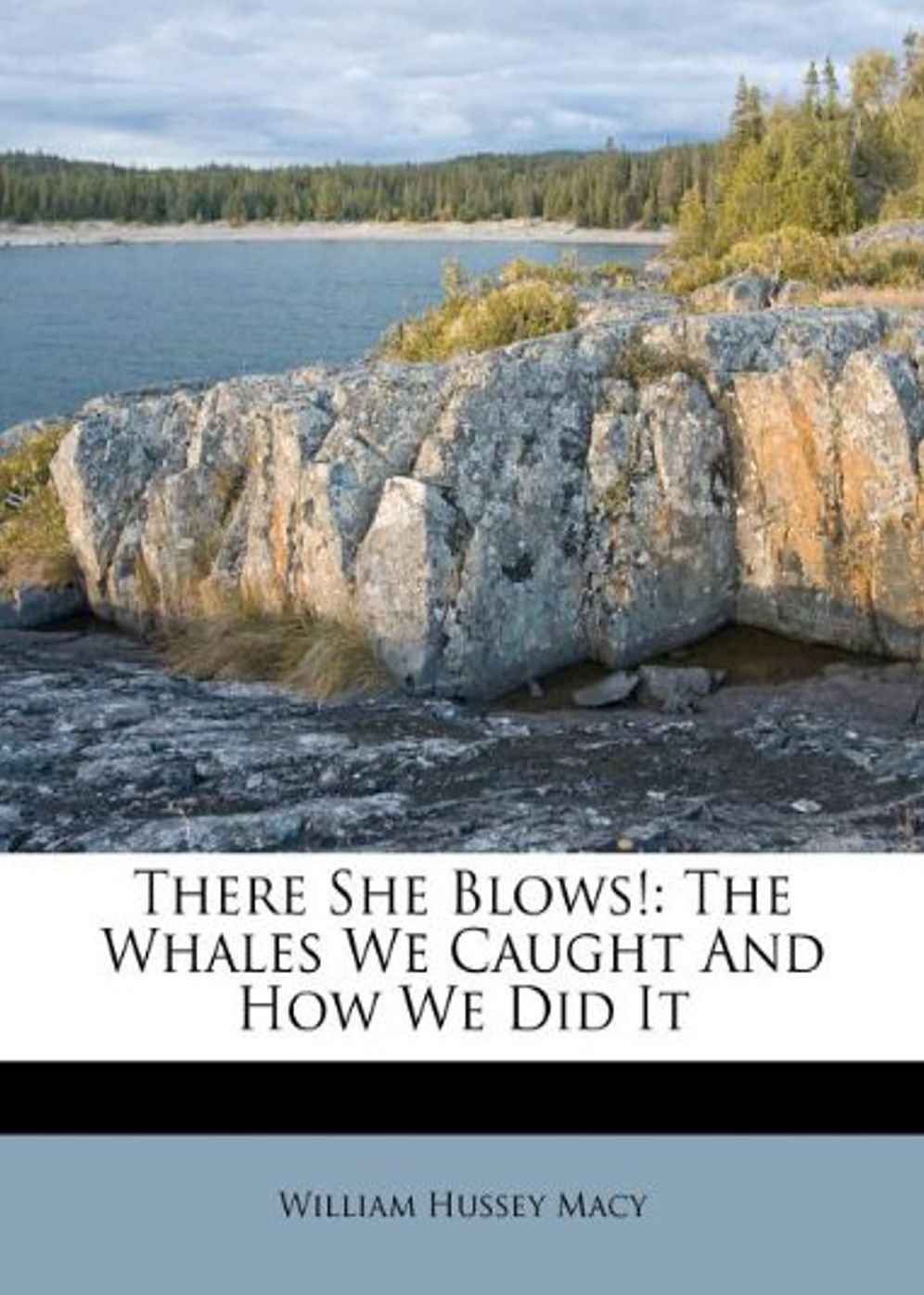 There She Blows! Or The Log Of The Arethusa: A Fiction & Literature Classic By William Hussey Macy! AAA+++