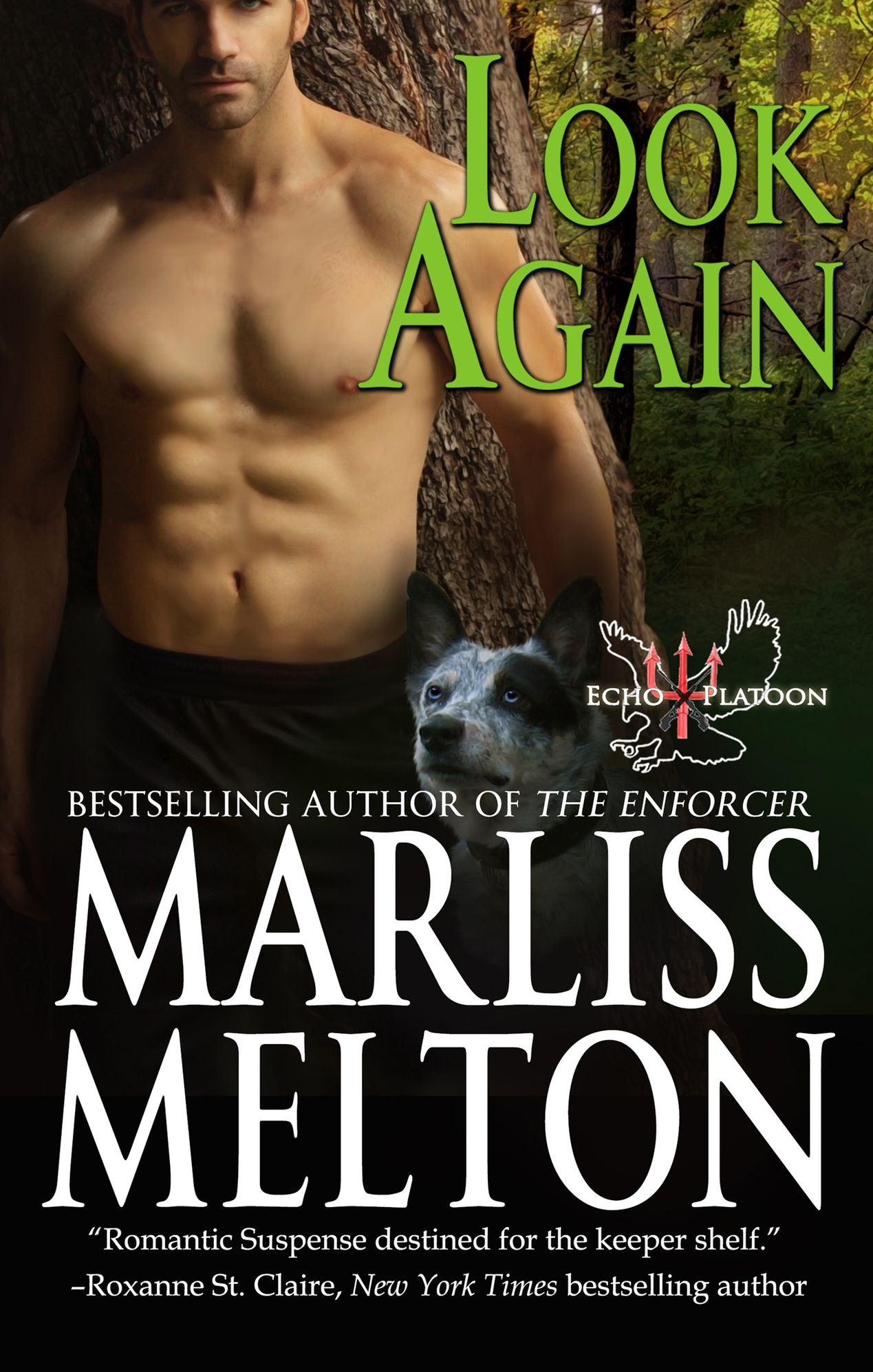 Look Again (Echo Platoon Novella)