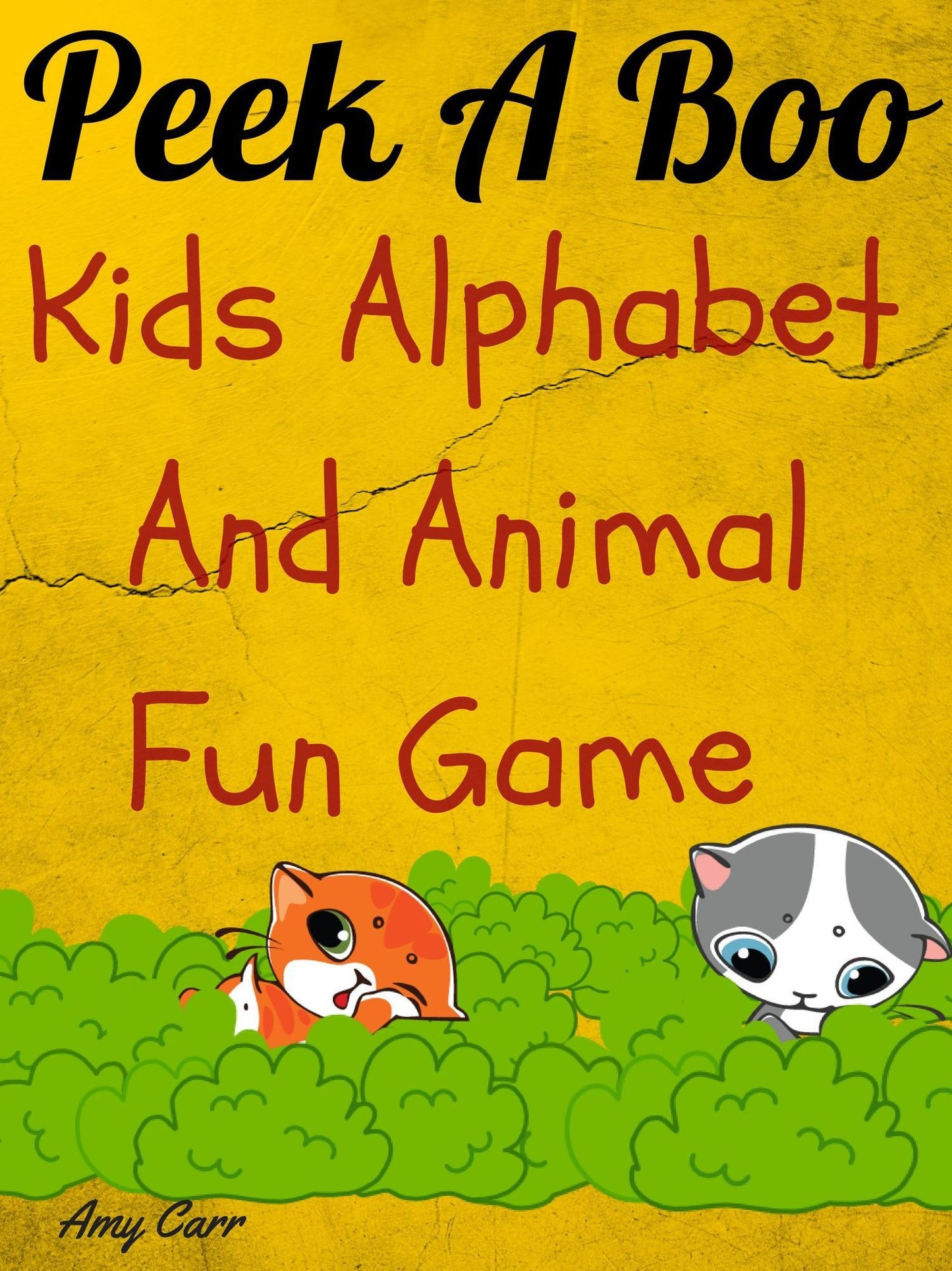 Peek A Boo Kids Alphabet And Animal Fun Game