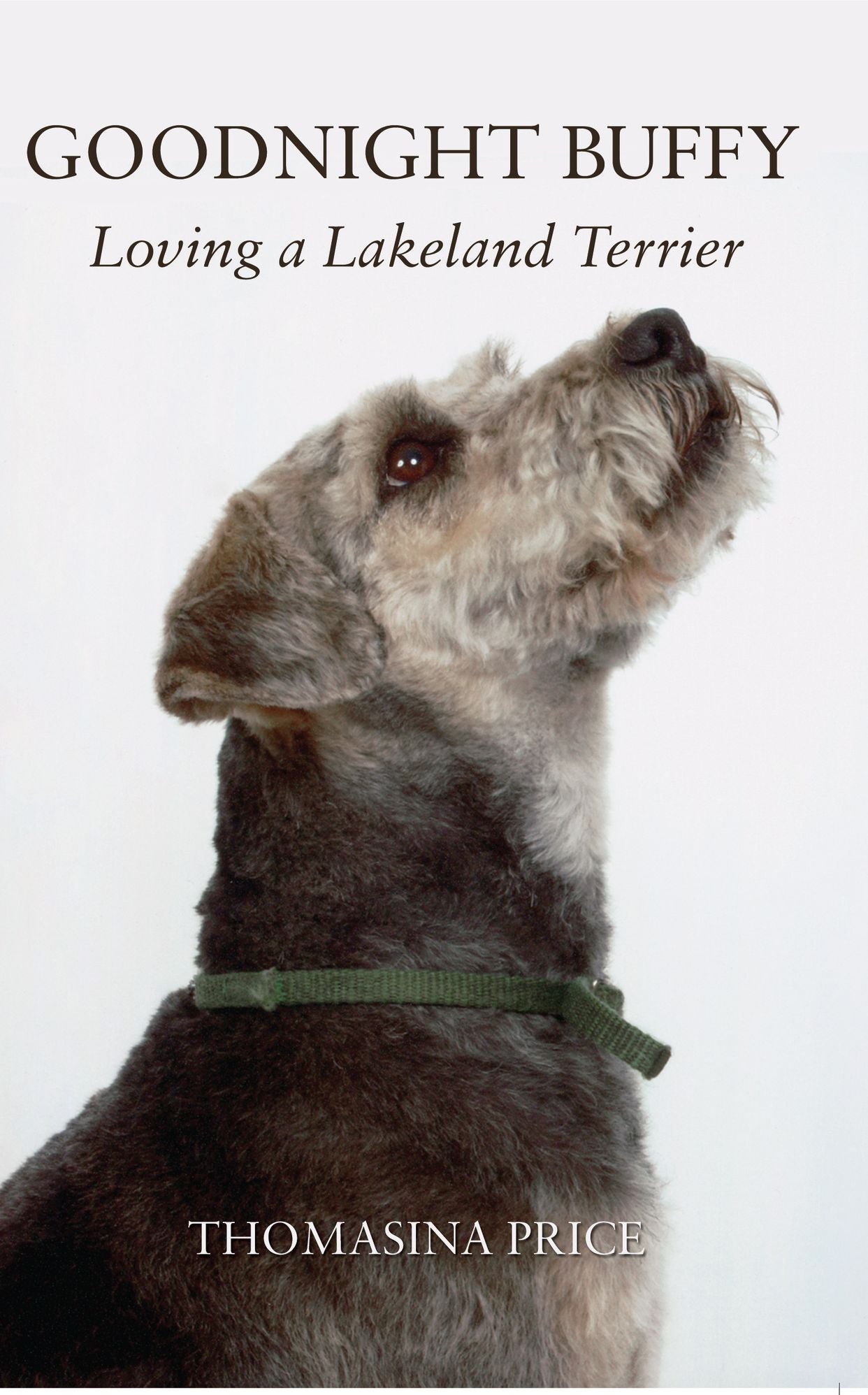 Goodnight Buffy: Loving a Lakeland Terrier