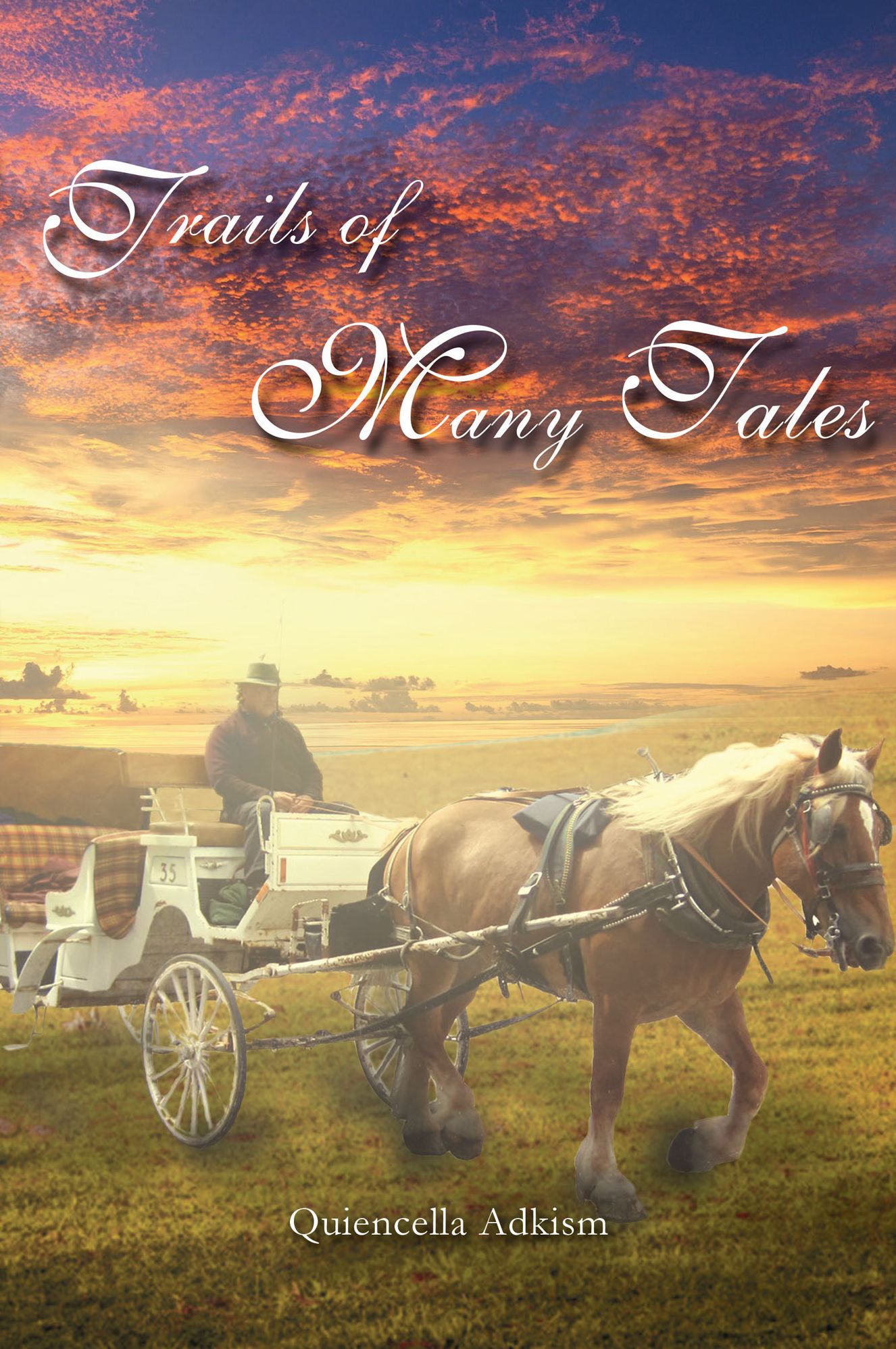 Trails of Many Tales