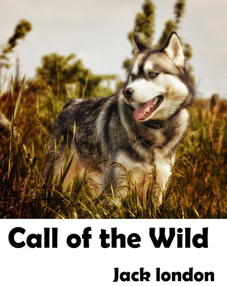Call of the Wild action, adventure, journey, battle, war, amazing Presented by Resounding Wind Publishing