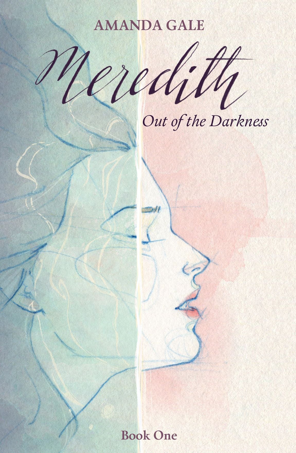 Meredith Out of the Darkness