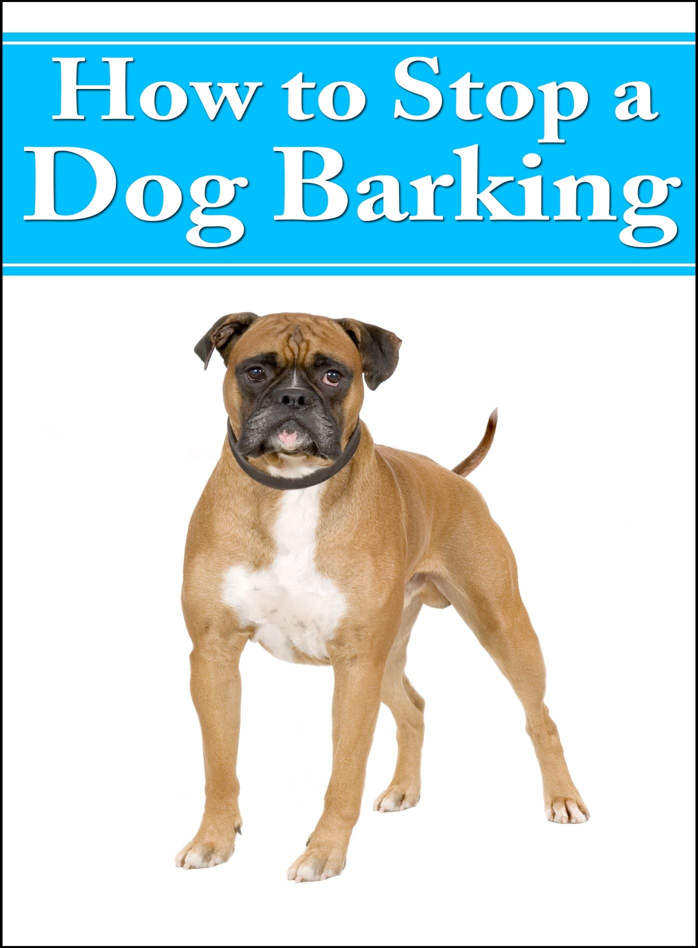 How To Stop A Dog Barking: Methods to Stop Your Dogg[