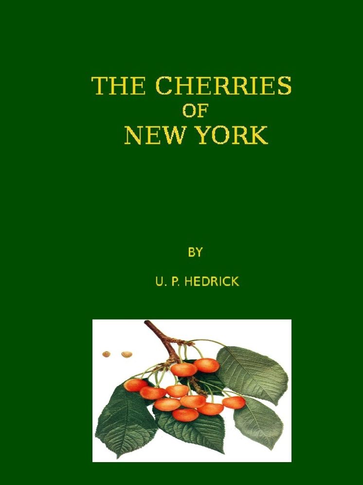 The Cherries of New York