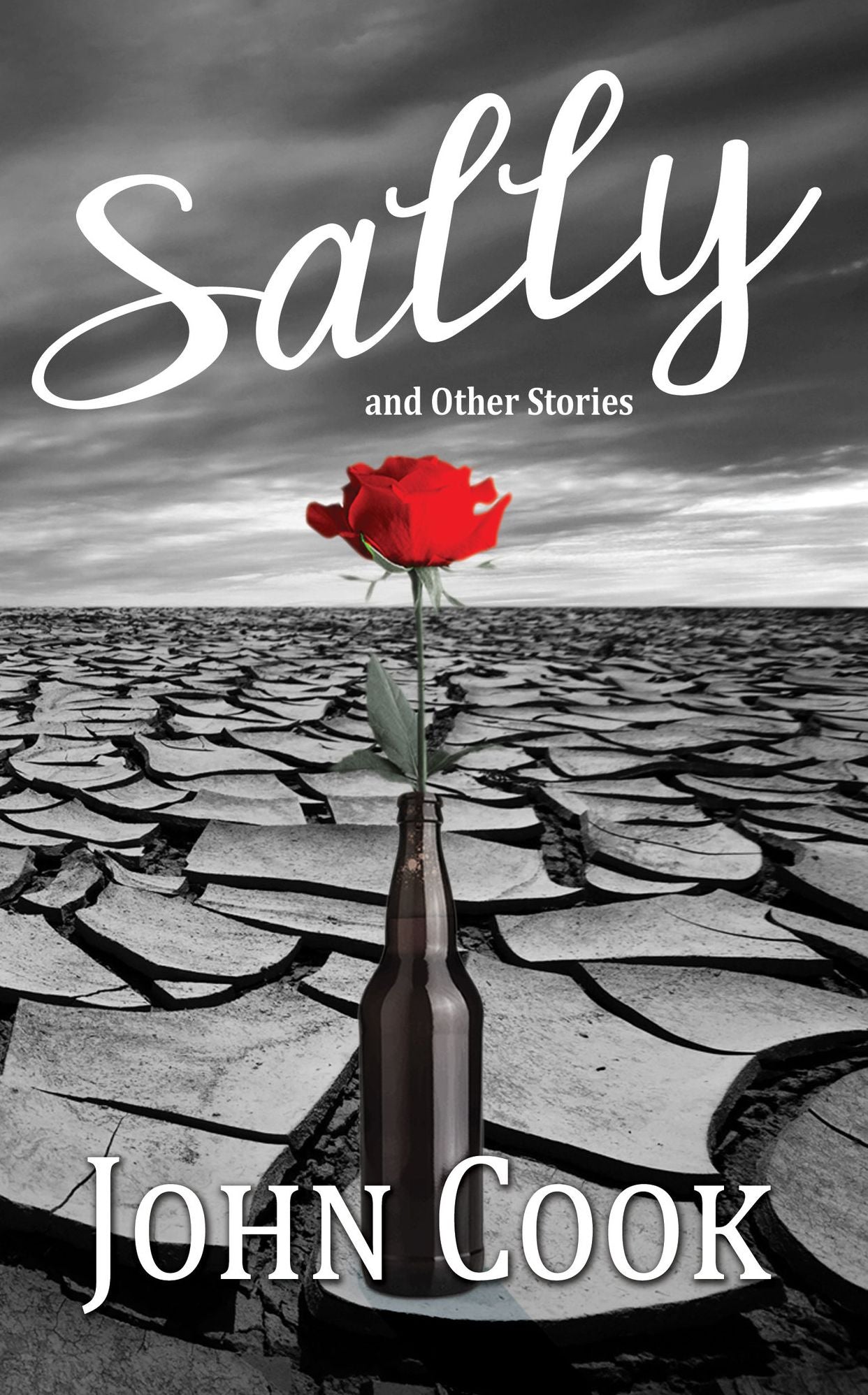 Sally and Other Stories