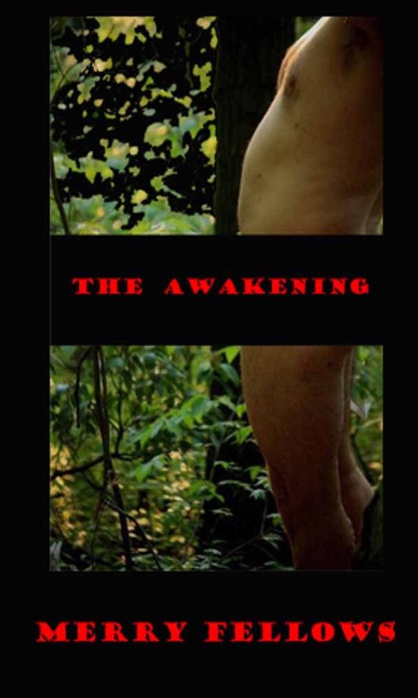 The Awakening