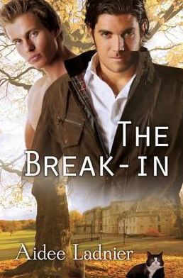 The Break-in